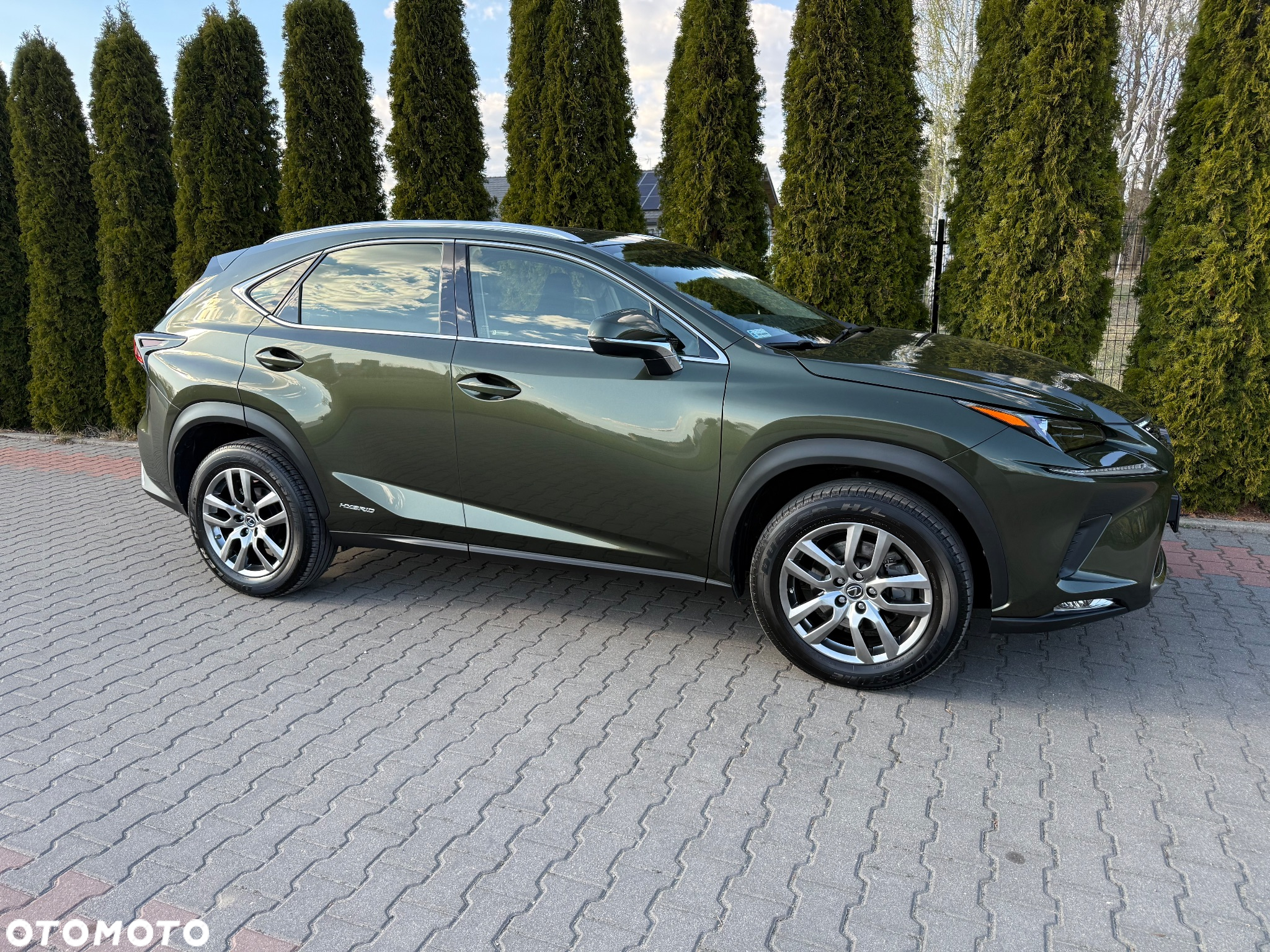 Lexus NX - 9