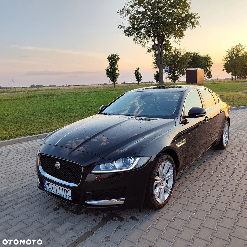 Jaguar XF 2.0 i4D Prestige - 7