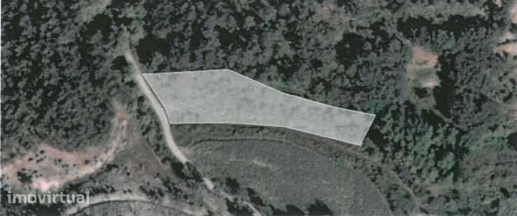 Quinta com Elevado Potencial Agrícola e Turístico - Grande imagem: 5/8