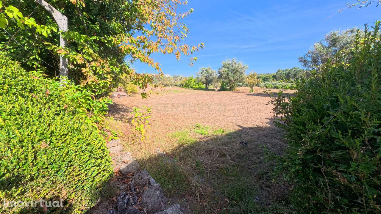 Casa T6 em Penalva do Castelo com Vista Panorâmica - Grande imagem: 5/32