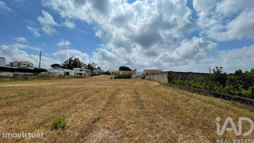 Terreno para construção em Nadadouro - Grande imagem: 5/18