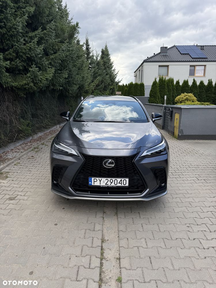 Lexus NX - 1