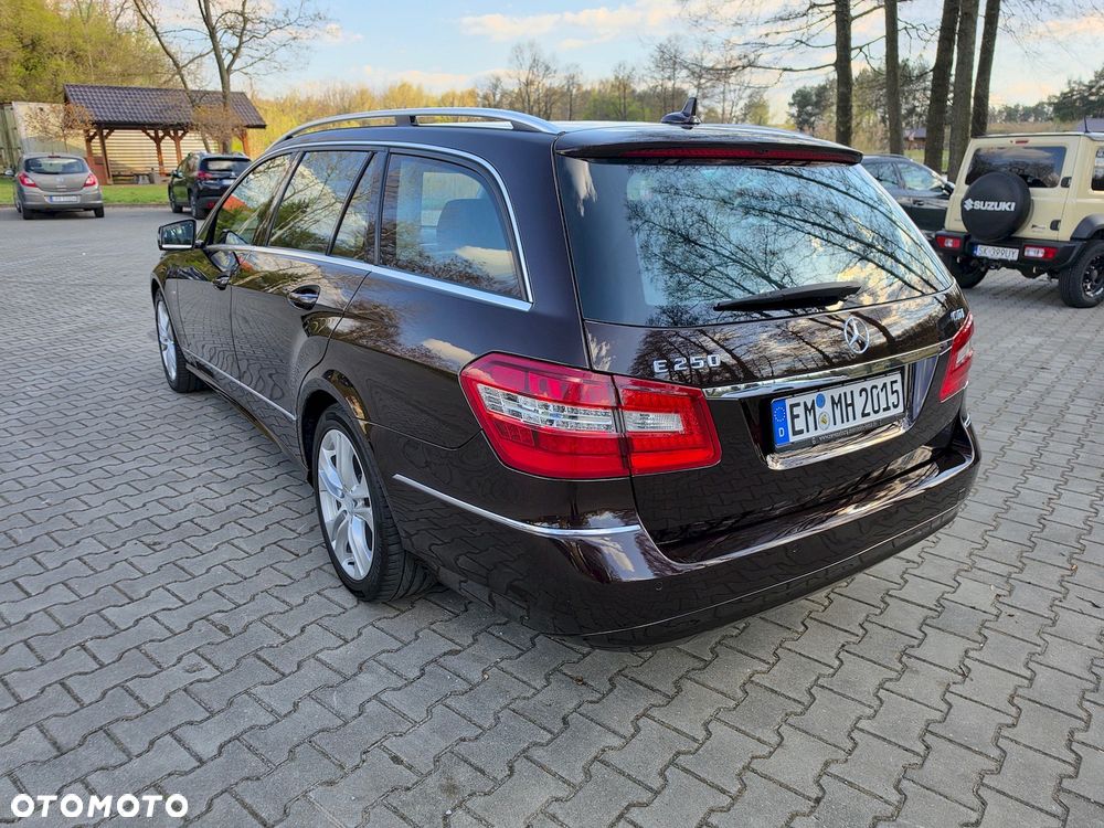Mercedes-Benz Klasa E 250 CDI DPF BlueEFFICIENCY Avantgarde - 15