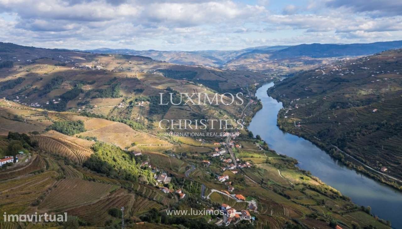 Quinta vinícola à venda em Mesão Frio na Região Demarcada, Douro V - Grande imagem: 4/25