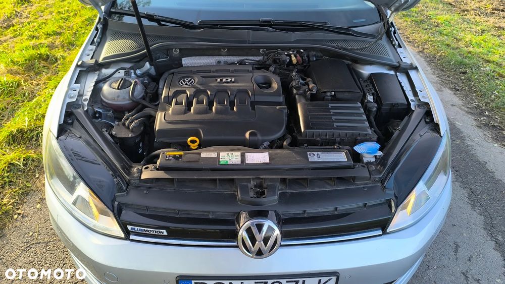 Volkswagen Golf - 5