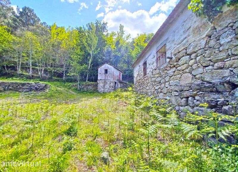 Quinta no Douro para Turismo Rural - Grande imagem: 5/12