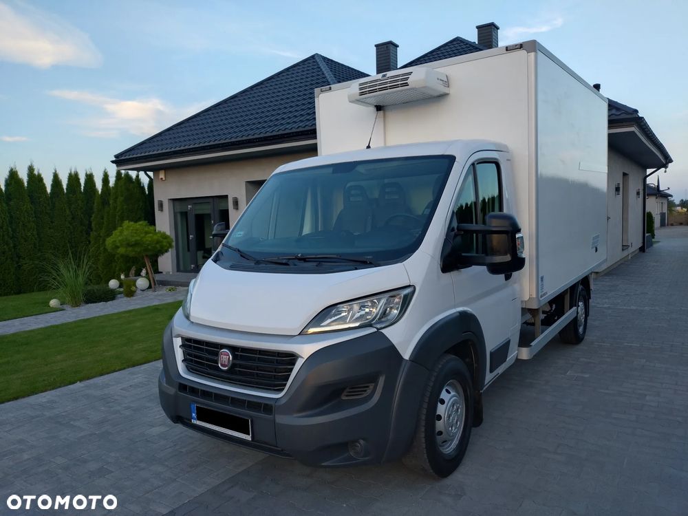 Fiat Ducato Chłodnia ThermoKing - 2