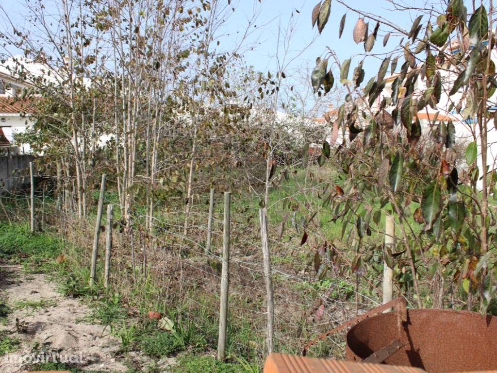 Terreno Urbano para construção em Alagoachos - Grande imagem: 3/3