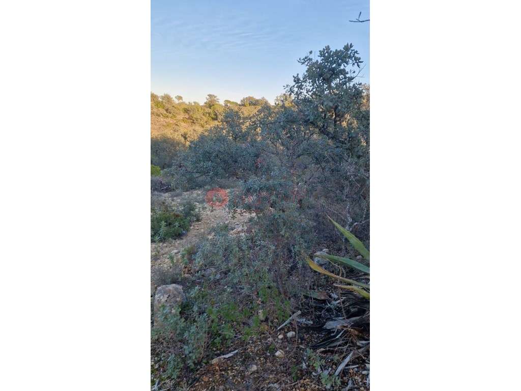 Terreno Rústico de 5.700m² em Loulé, Próximo da Cidade - Grande imagem: 4/7