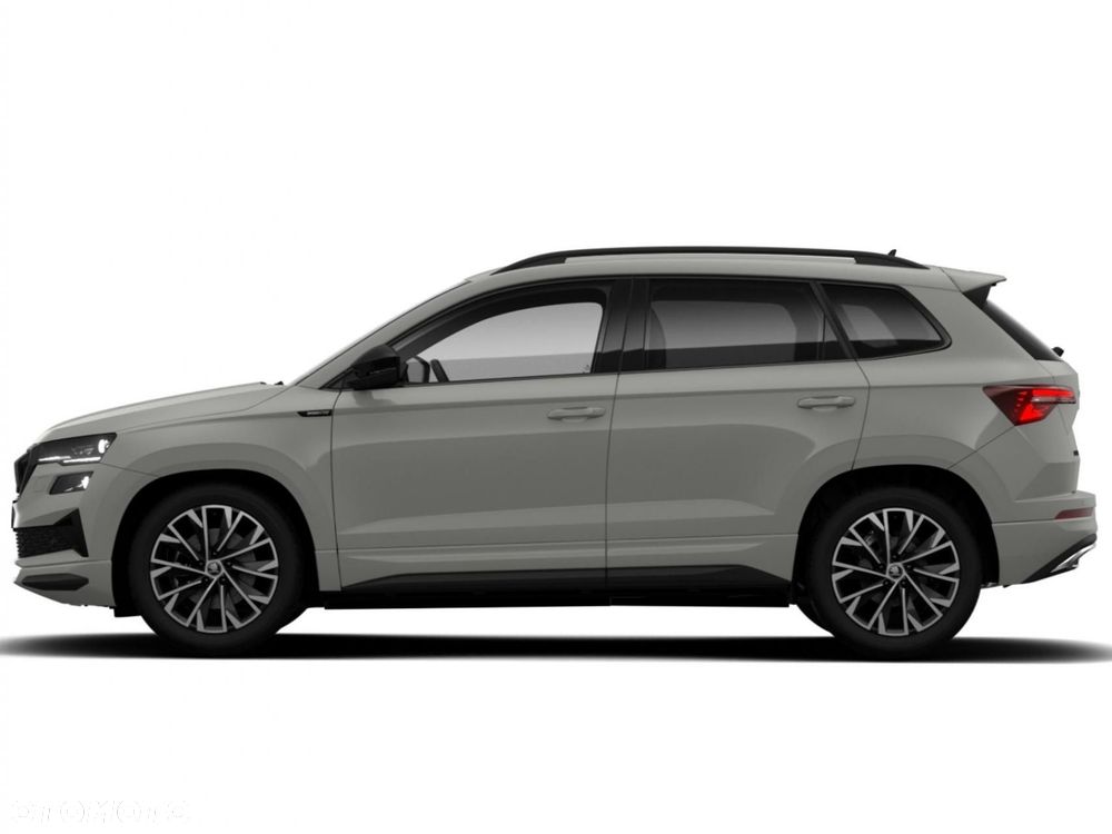 Skoda Karoq - 2