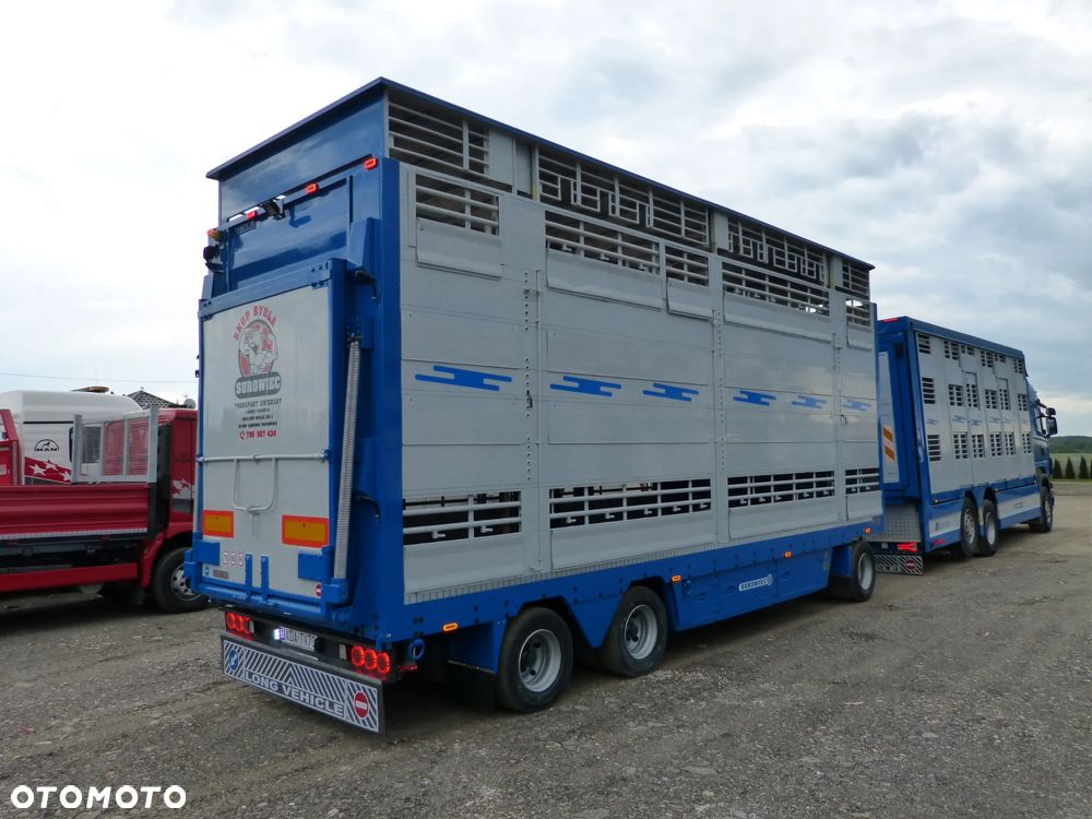 Scania R420 + PRZYCZEPA PEZZAIOLI / ZESTAW DO ŻYWCA, ZWIERZĄT, BYDŁA, TRZODY - 21