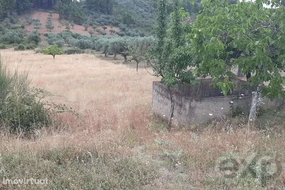 Terreno rústico - Freguesia Bouça - Grande imagem: 3/7