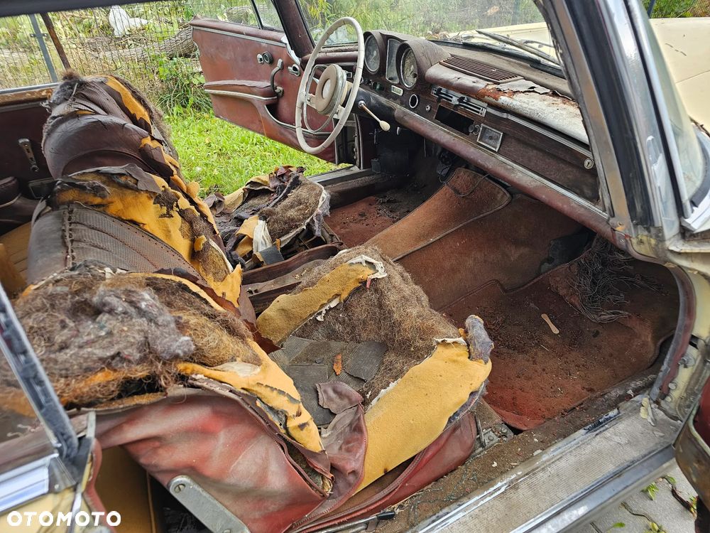 Mercedes-Benz Inny - 9