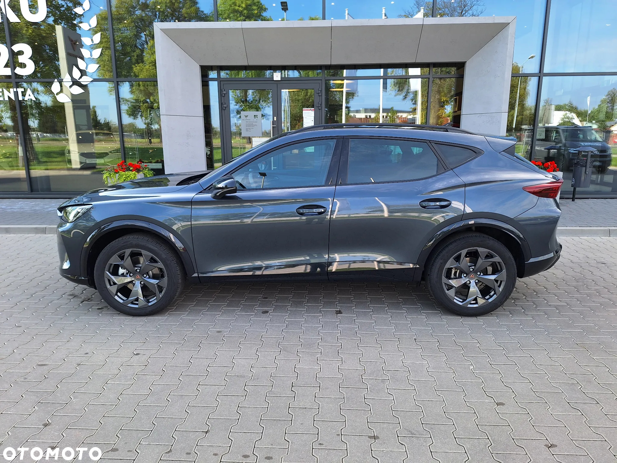 Cupra Formentor 2.0 TDI DSG - 5