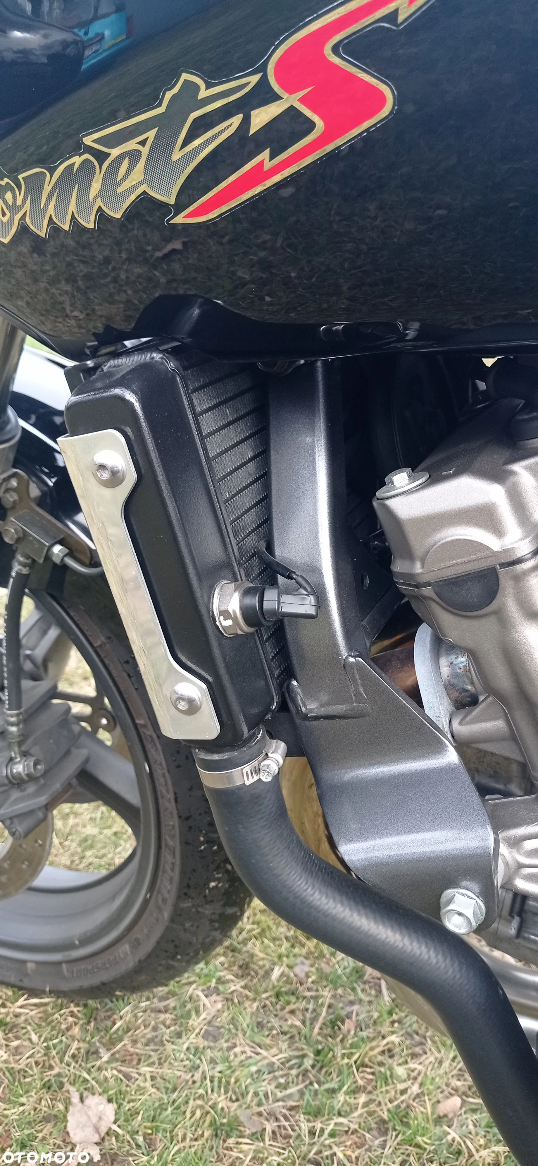 Honda Hornet - 23