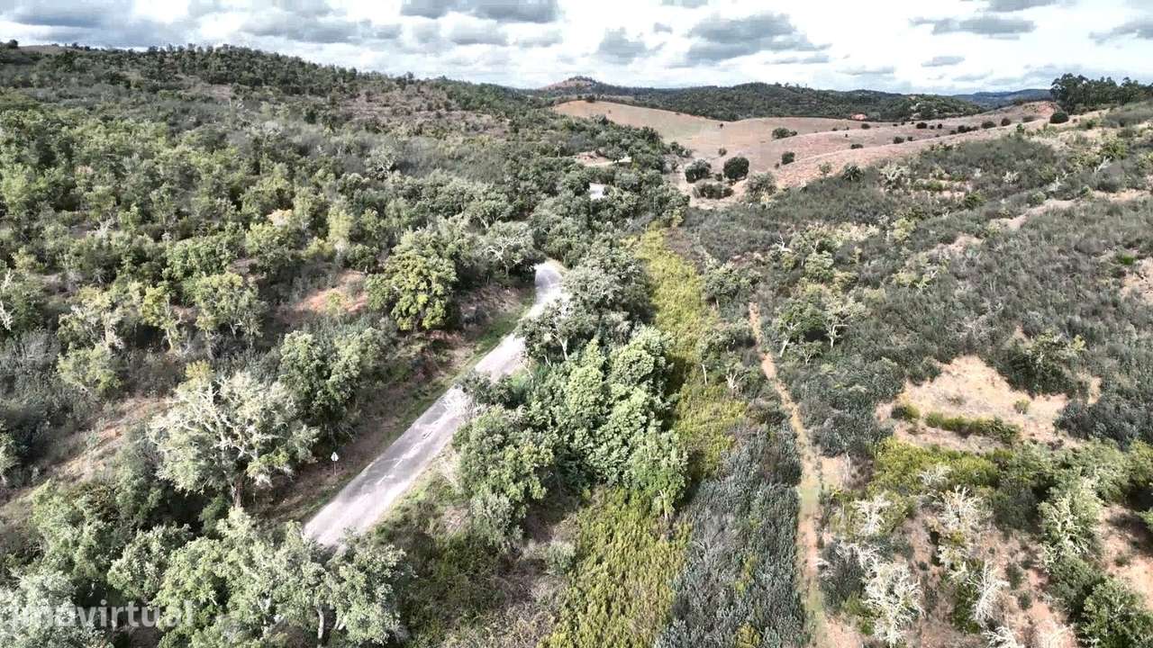 Terreno, 553 000 m², Luzianes-Gare - Grande imagem: 3/6