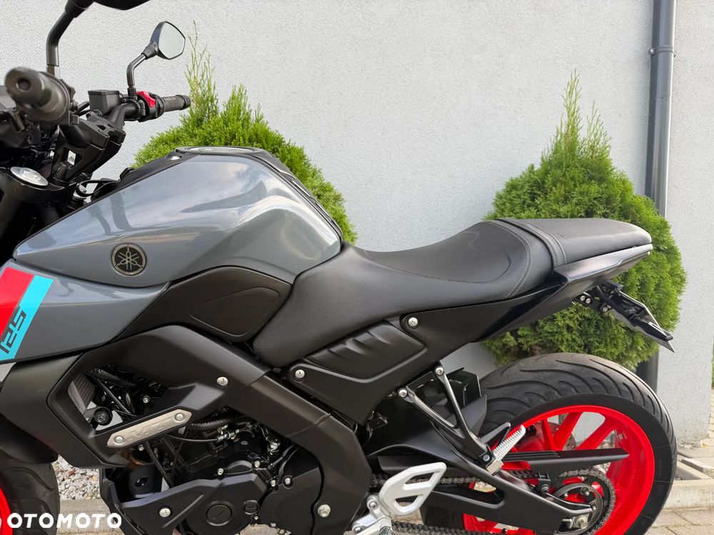 Yamaha MT - 33