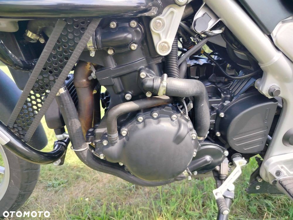 Triumph Tiger - 6