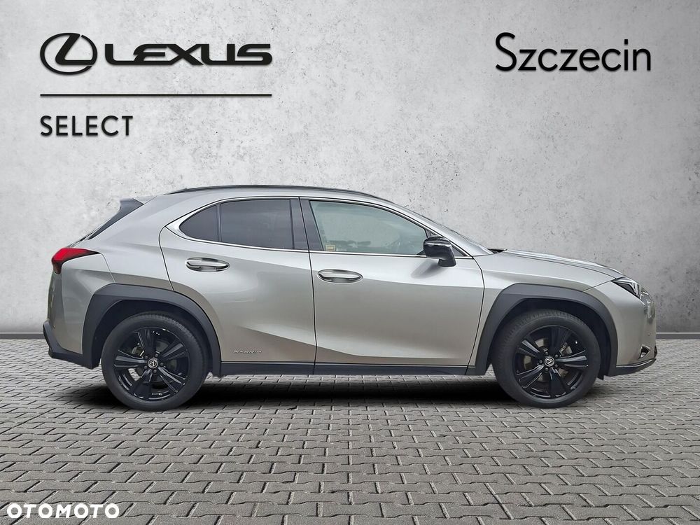 Lexus UX - 6