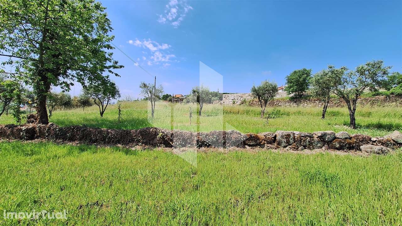 Terreno Rústico  Venda em Lajeosa do Dão,Tondela - Grande imagem: 5/9
