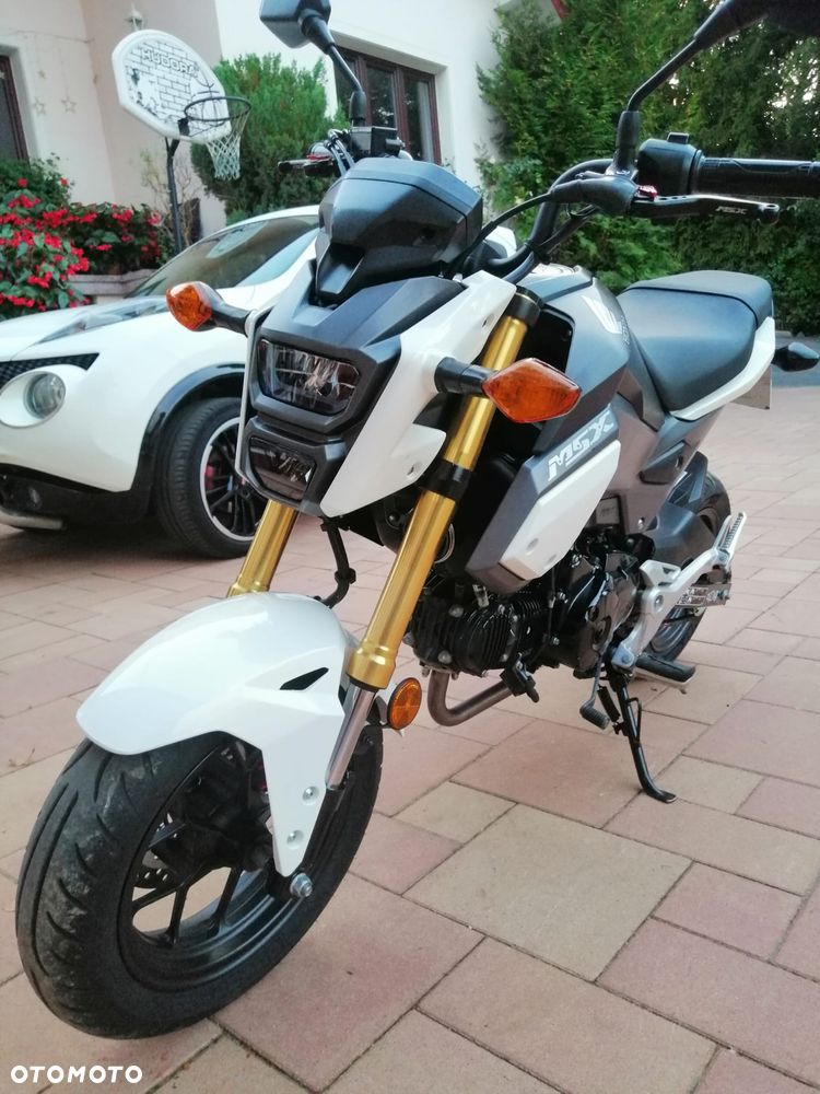 Honda MSX 125 - 3