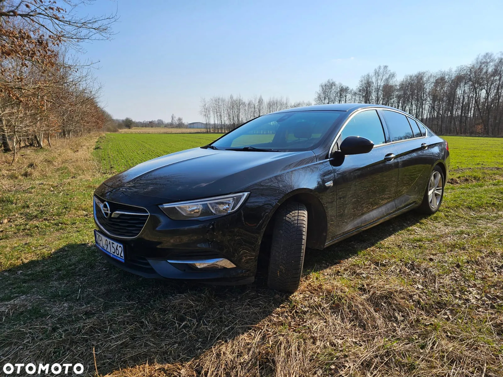 Opel Insignia - 5