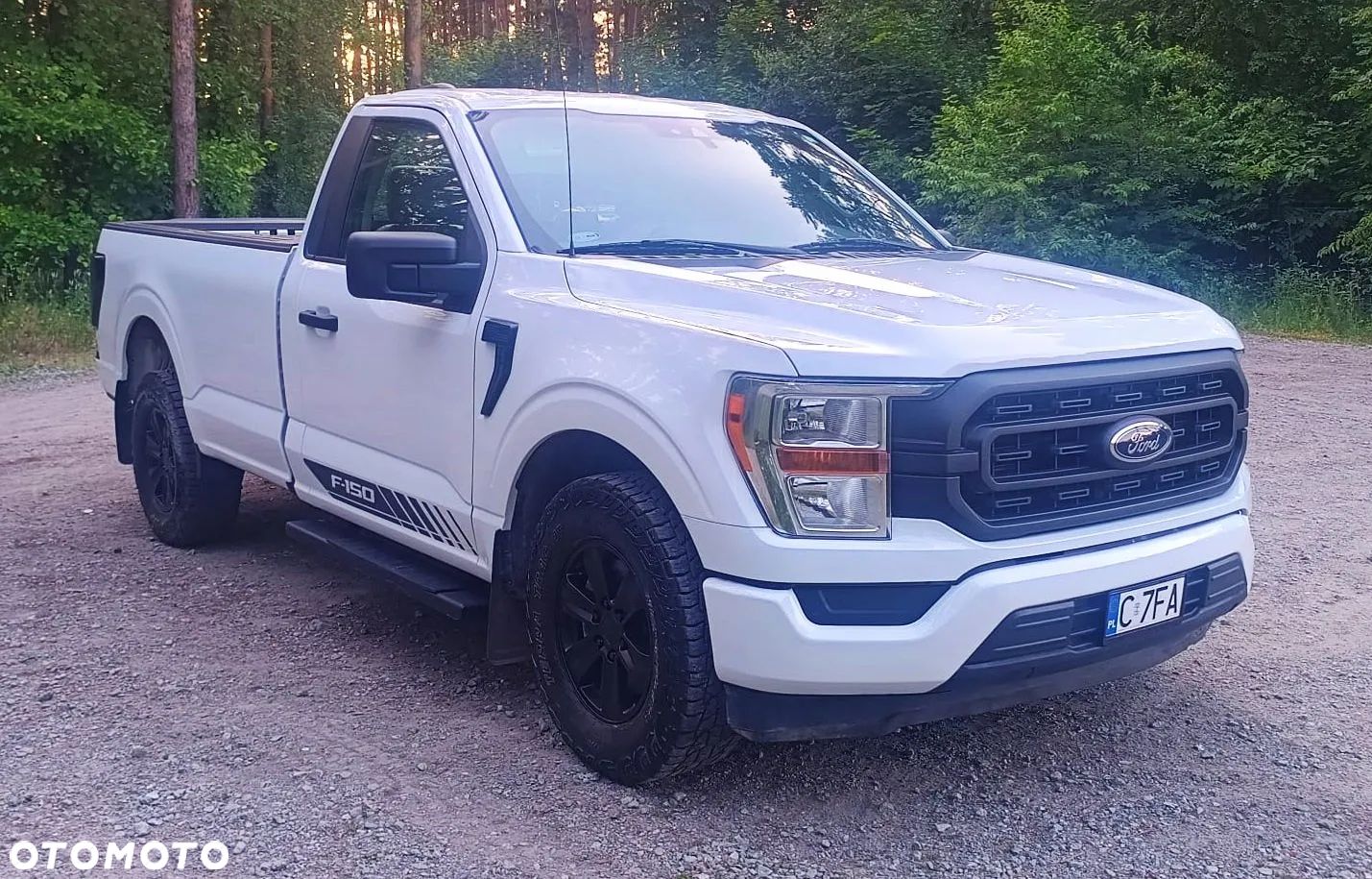Ford F150 - 1