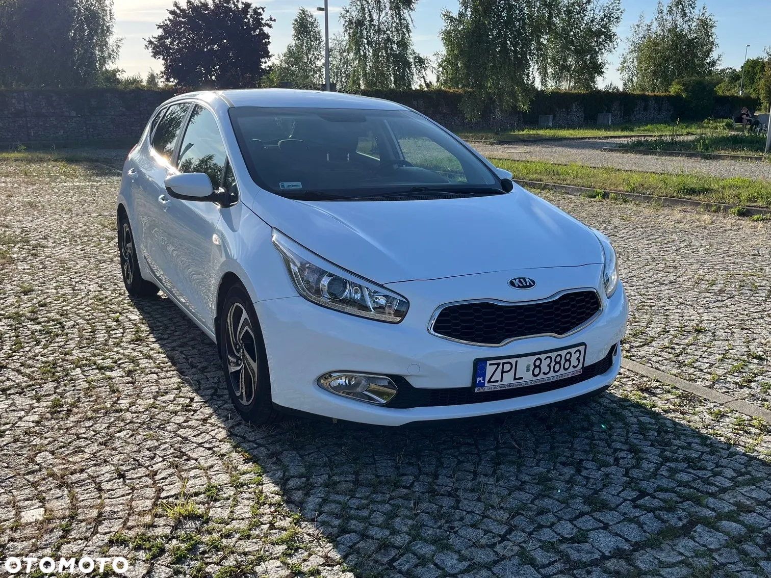 Kia Ceed Cee'd 1.6 GDI L Business Line - 7