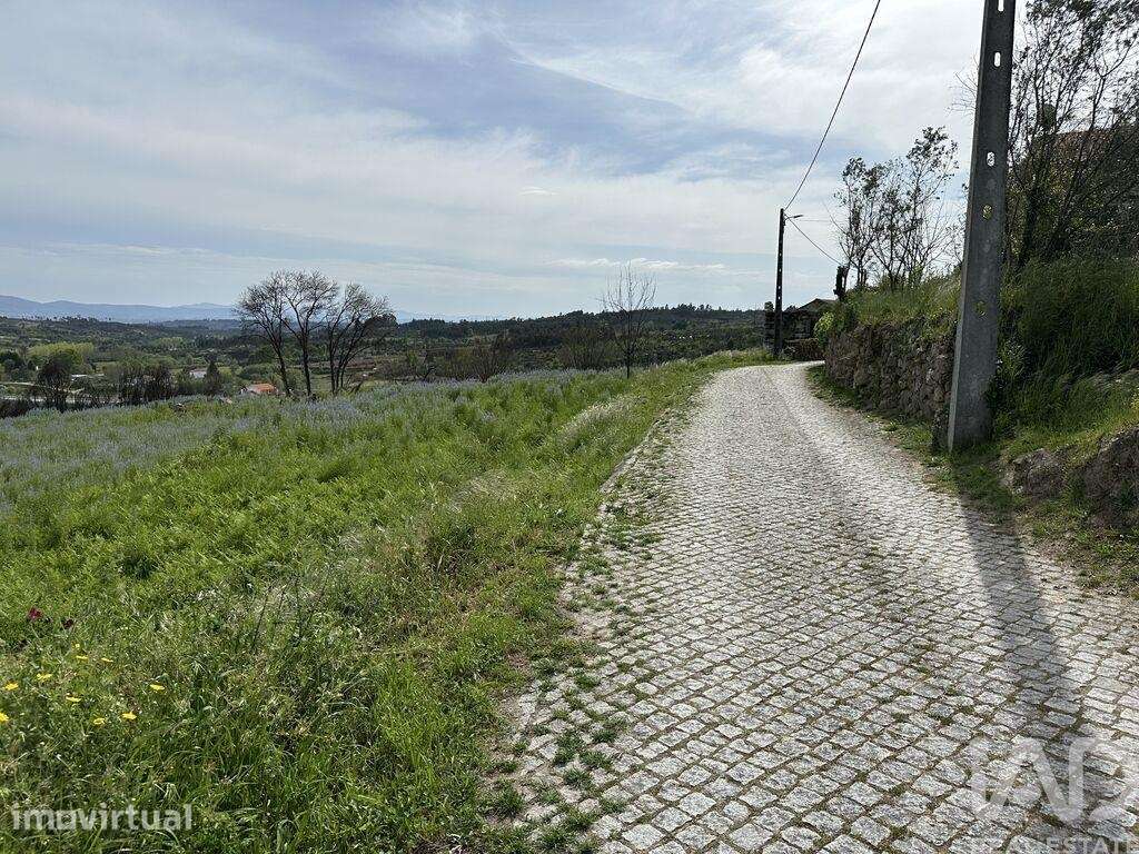 Terreno Agrícola em Mangualde, Mesquitela e Cunha Alta - Grande imagem: 3/8