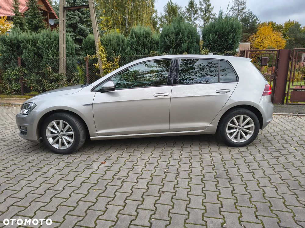 Volkswagen Golf - 27