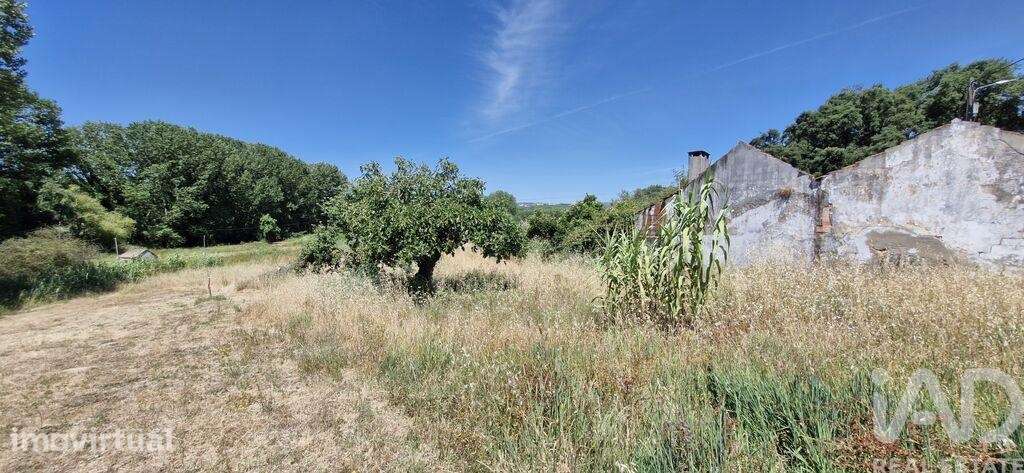 Terreno Agrícola em Fráguas - Grande imagem: 5/26