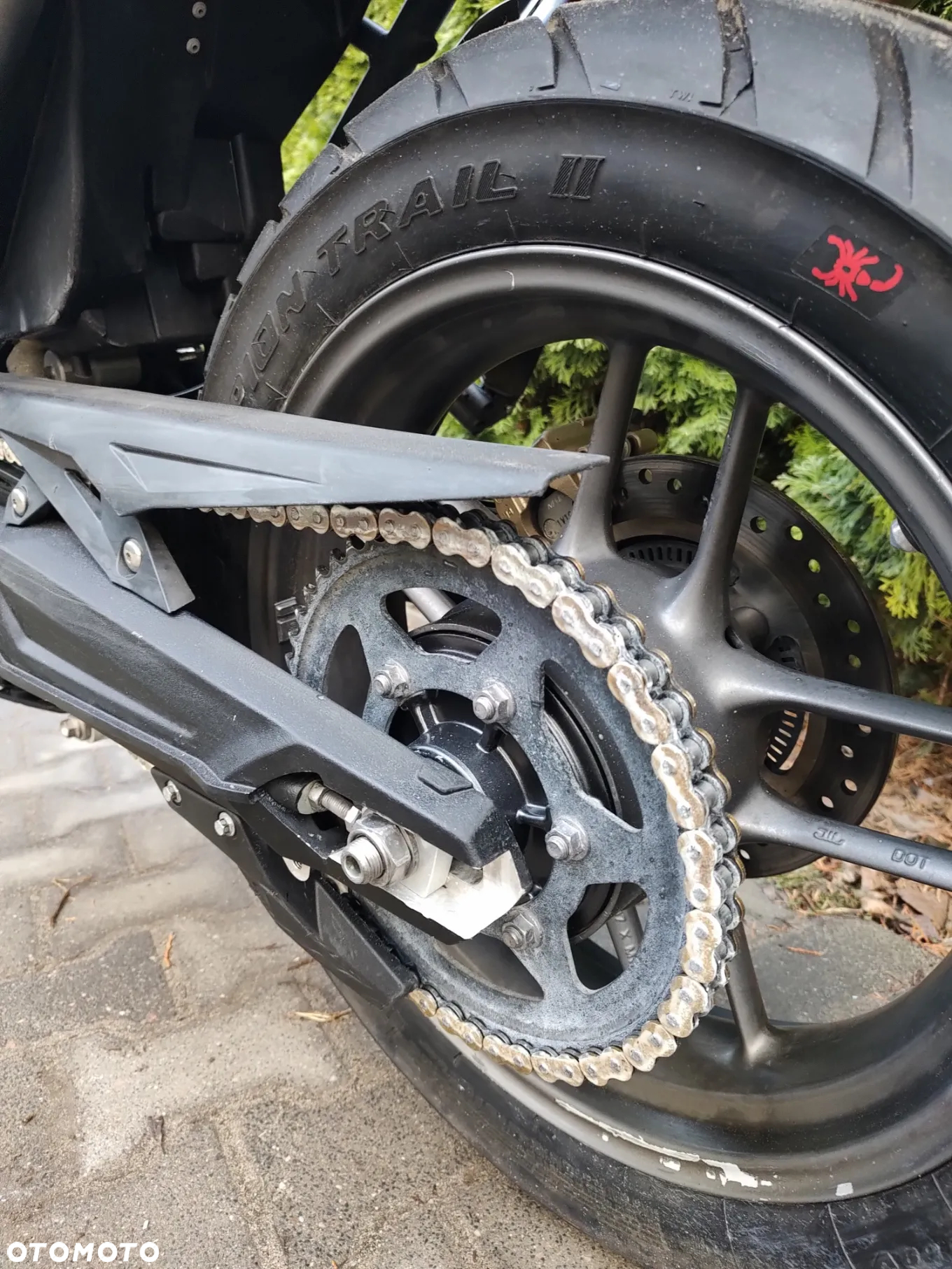 Triumph Tiger - 13