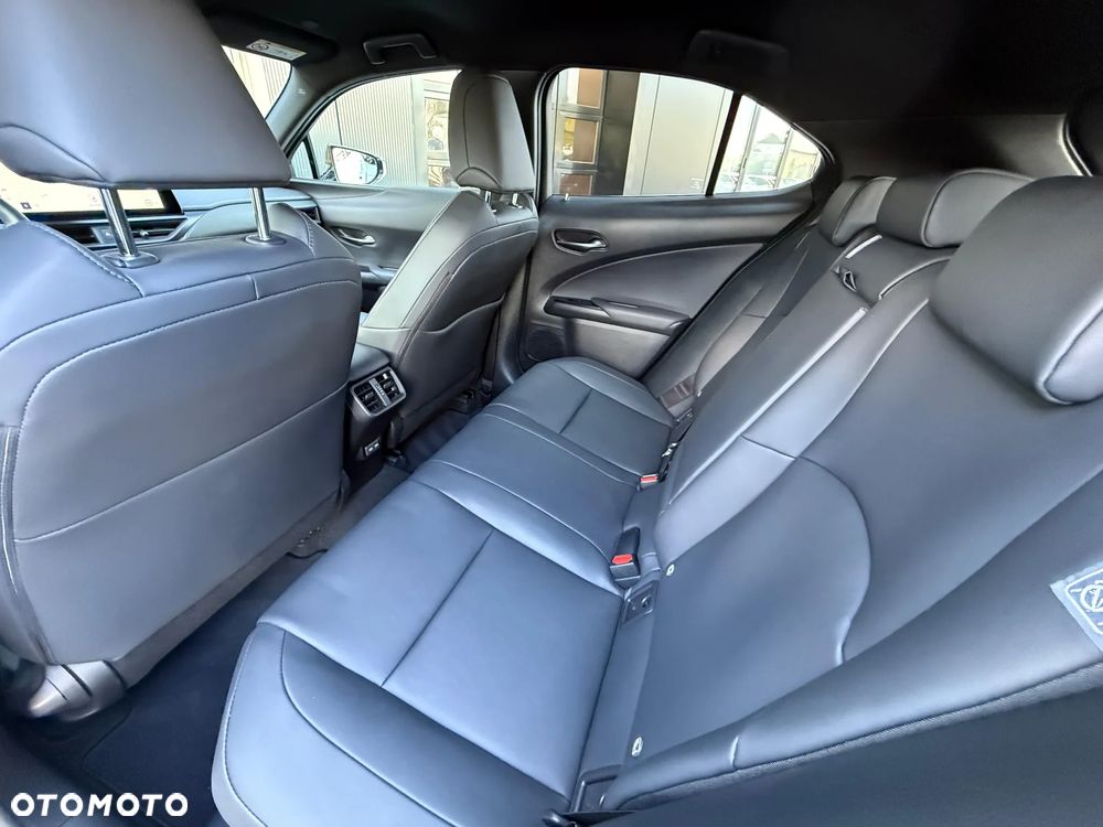 Lexus UX 250h GPF F Sport Design+ 2WD - 10