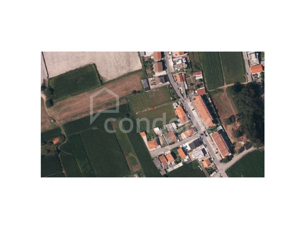 Terreno para venda em Lavra - Grande imagem: 5/7