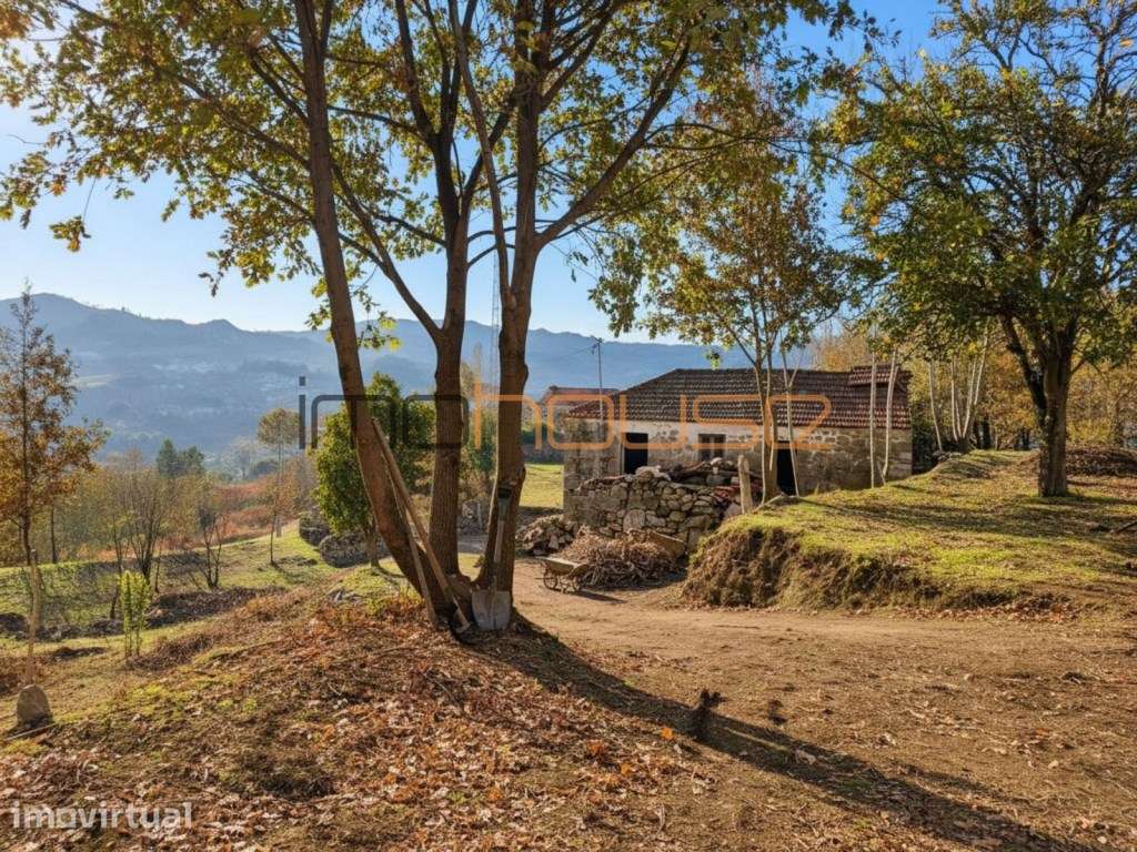 Quinta com Ribeiro e casa para restaurar - Terreno de cultivo - Grande imagem: 3/21