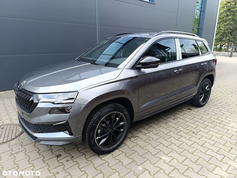 Skoda Karoq - 2