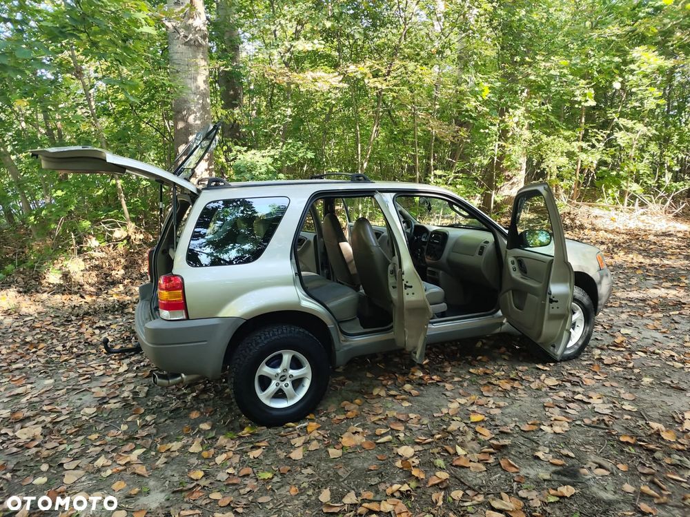 Ford Escape - 16