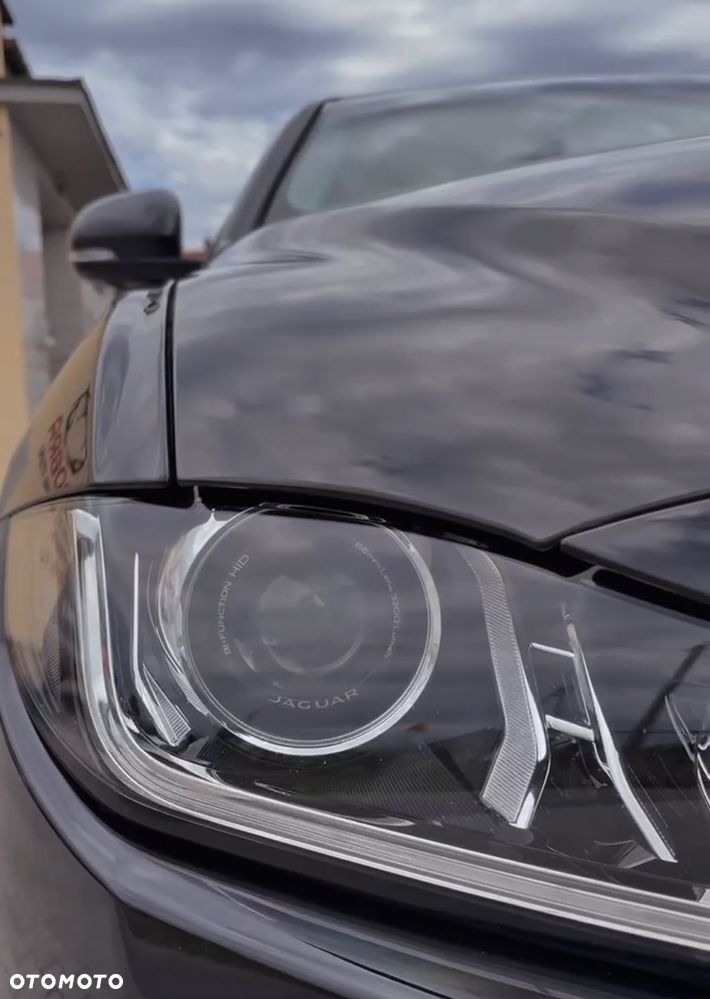 Jaguar XE - 7
