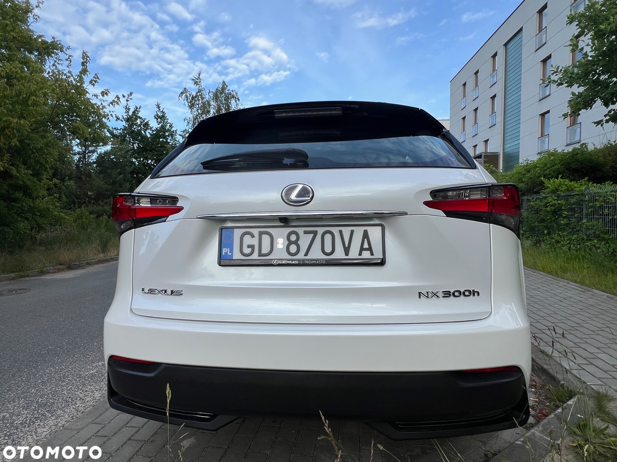 Lexus NX 300h Elite AWD - 12