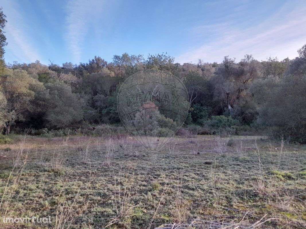 Terreno  para venda - Grande imagem: 2/5