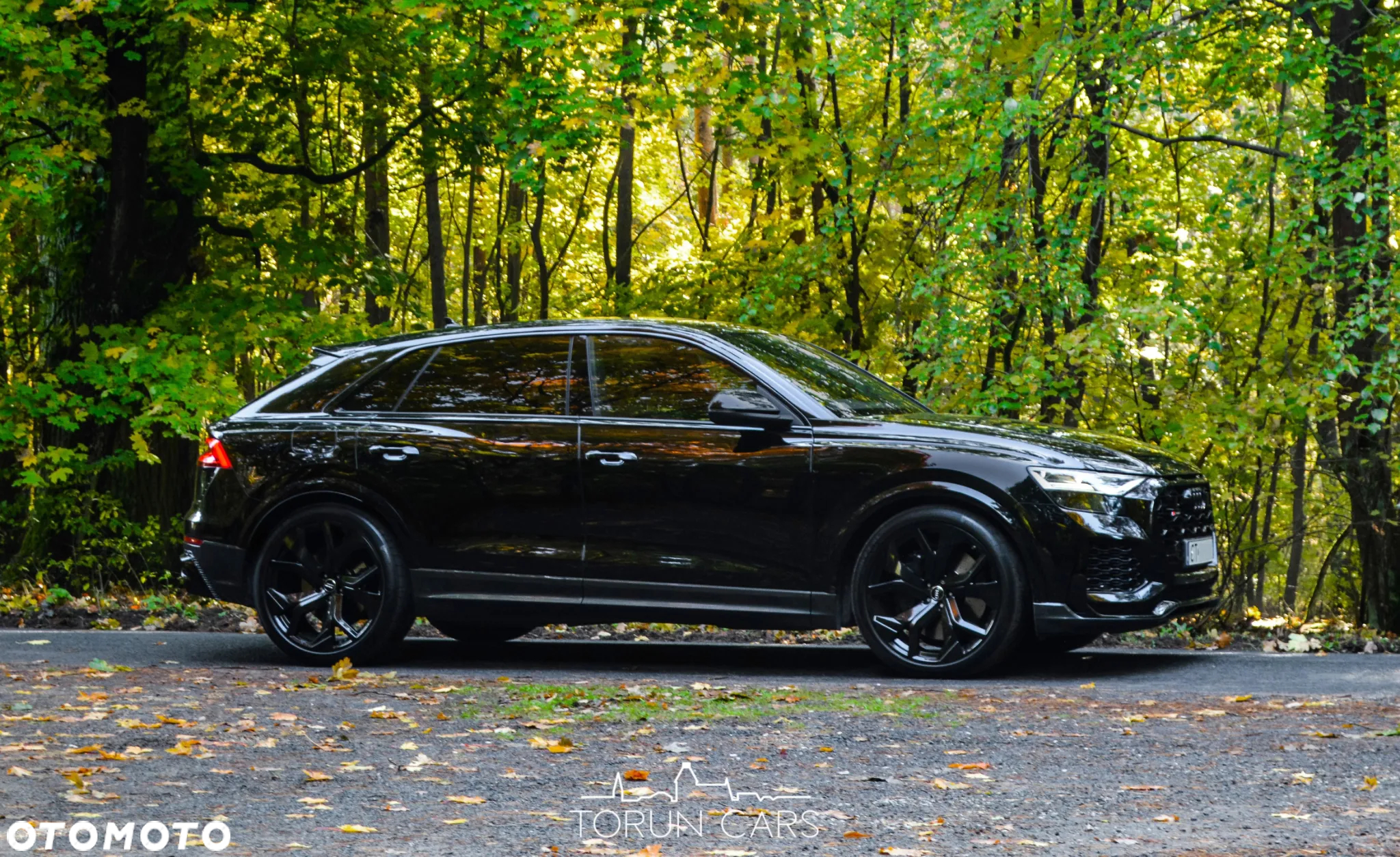 Audi RS Q8 - 2