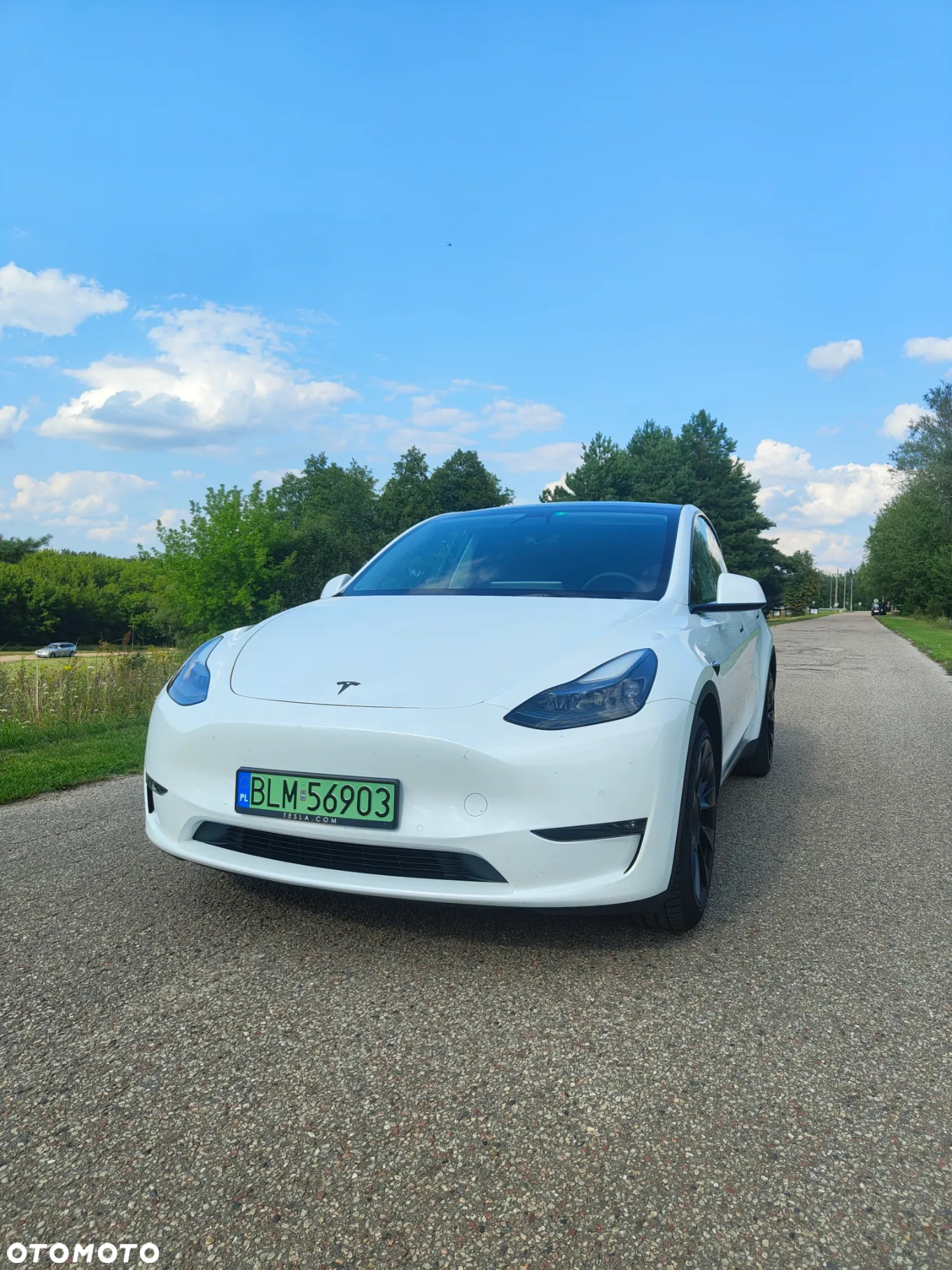 Tesla Y Model Long Range Dual Motor AWD - 15