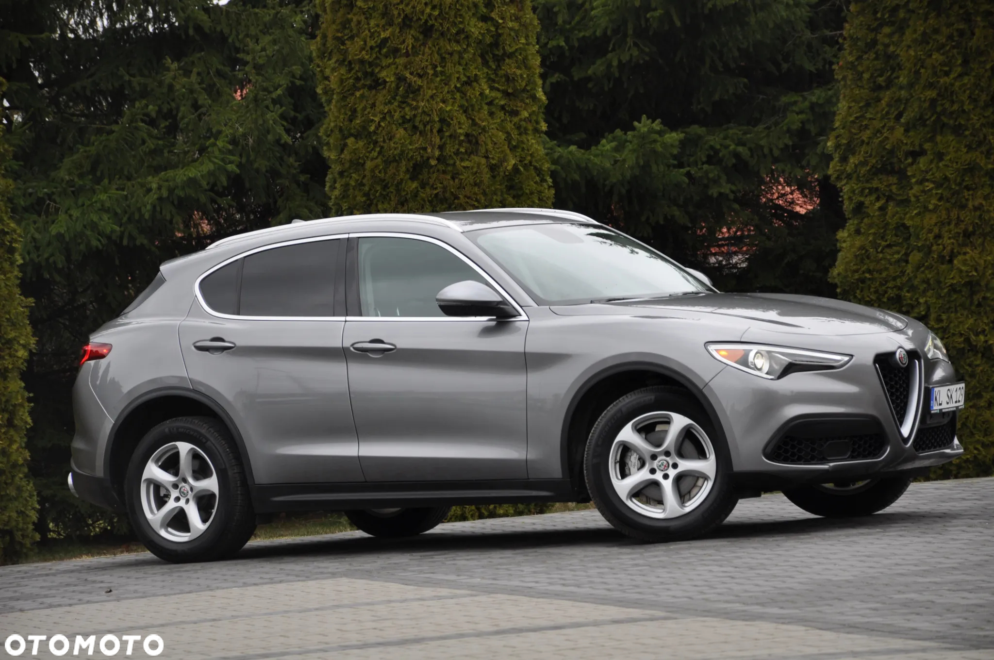 Alfa Romeo Stelvio 2.0 Turbo 16V AT8-Q4 Executive - 8