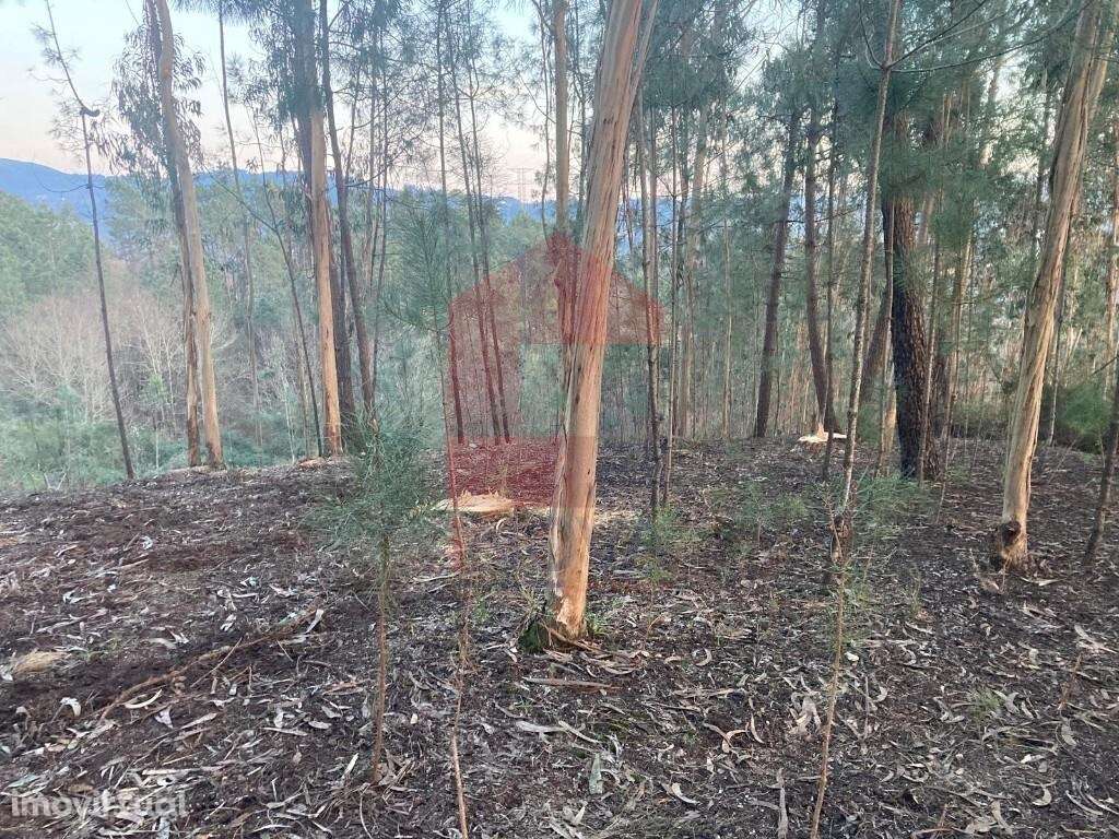Terreno construção, Sabariz - Grande imagem: 3/27