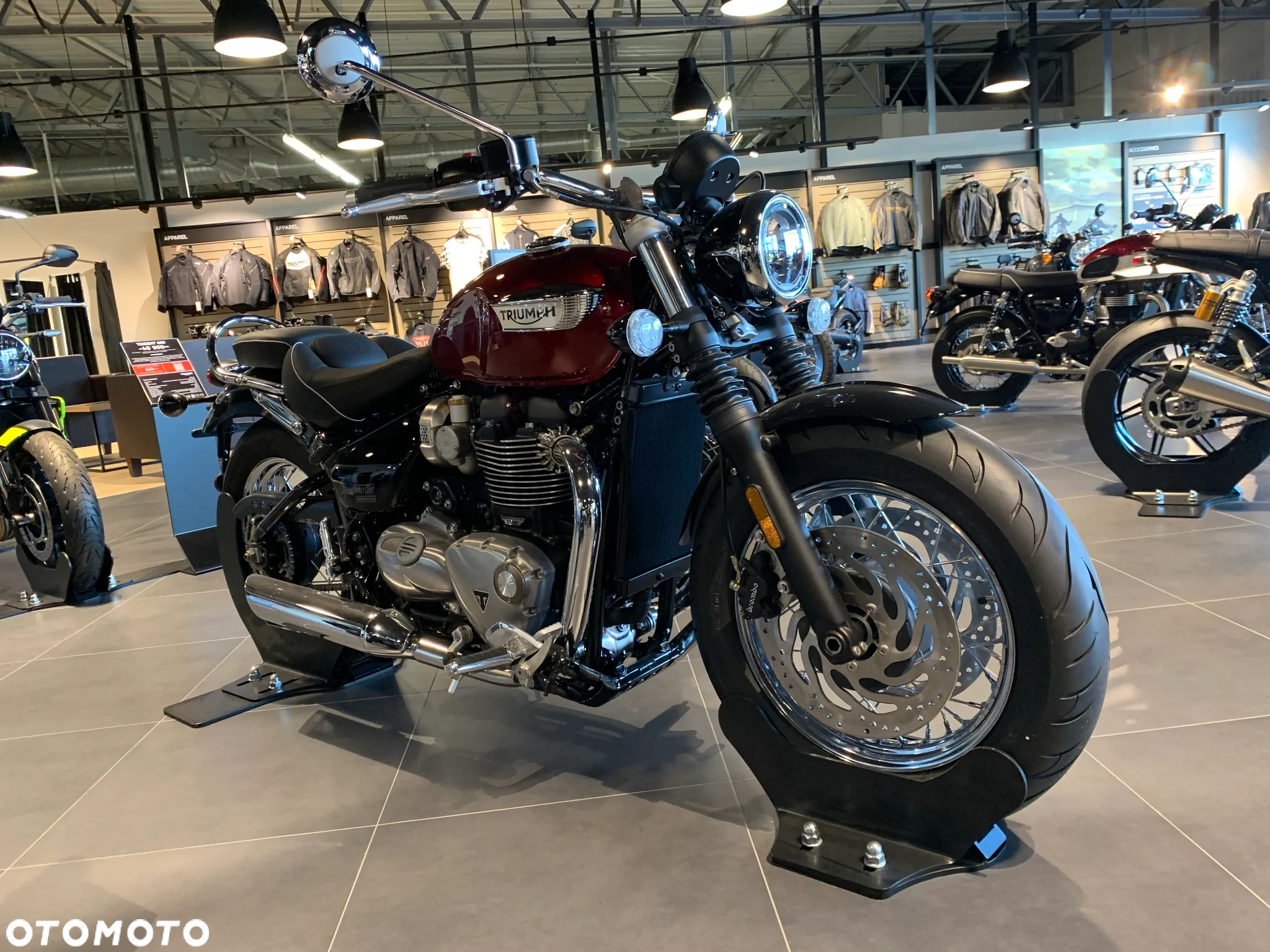Triumph Speedmaster - 2