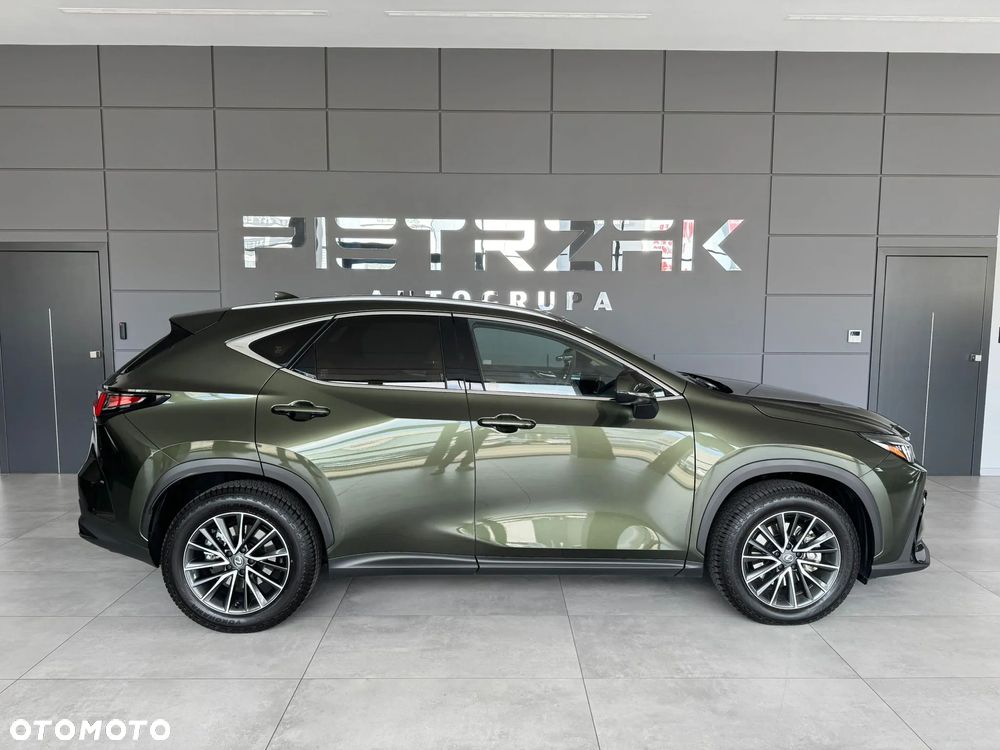 Lexus NX - 10