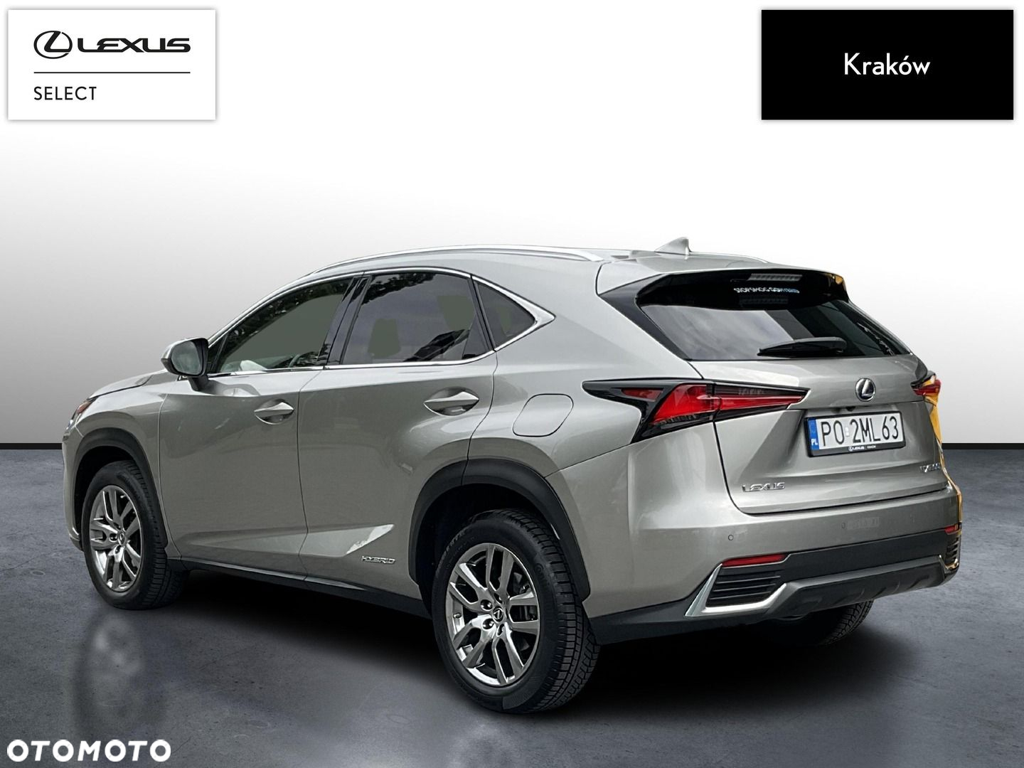 Lexus NX - 3