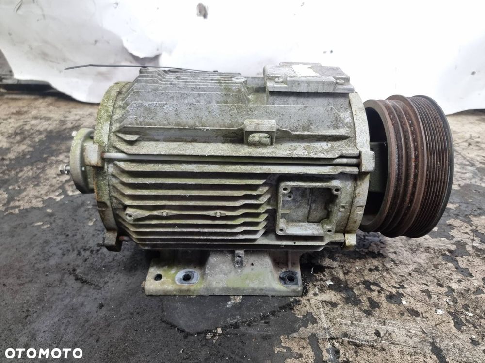 SILNIK ELEKTRYCZNY  THEMO KING - 3