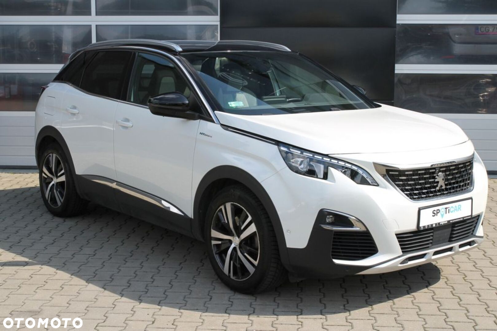 Peugeot 3008 - 16