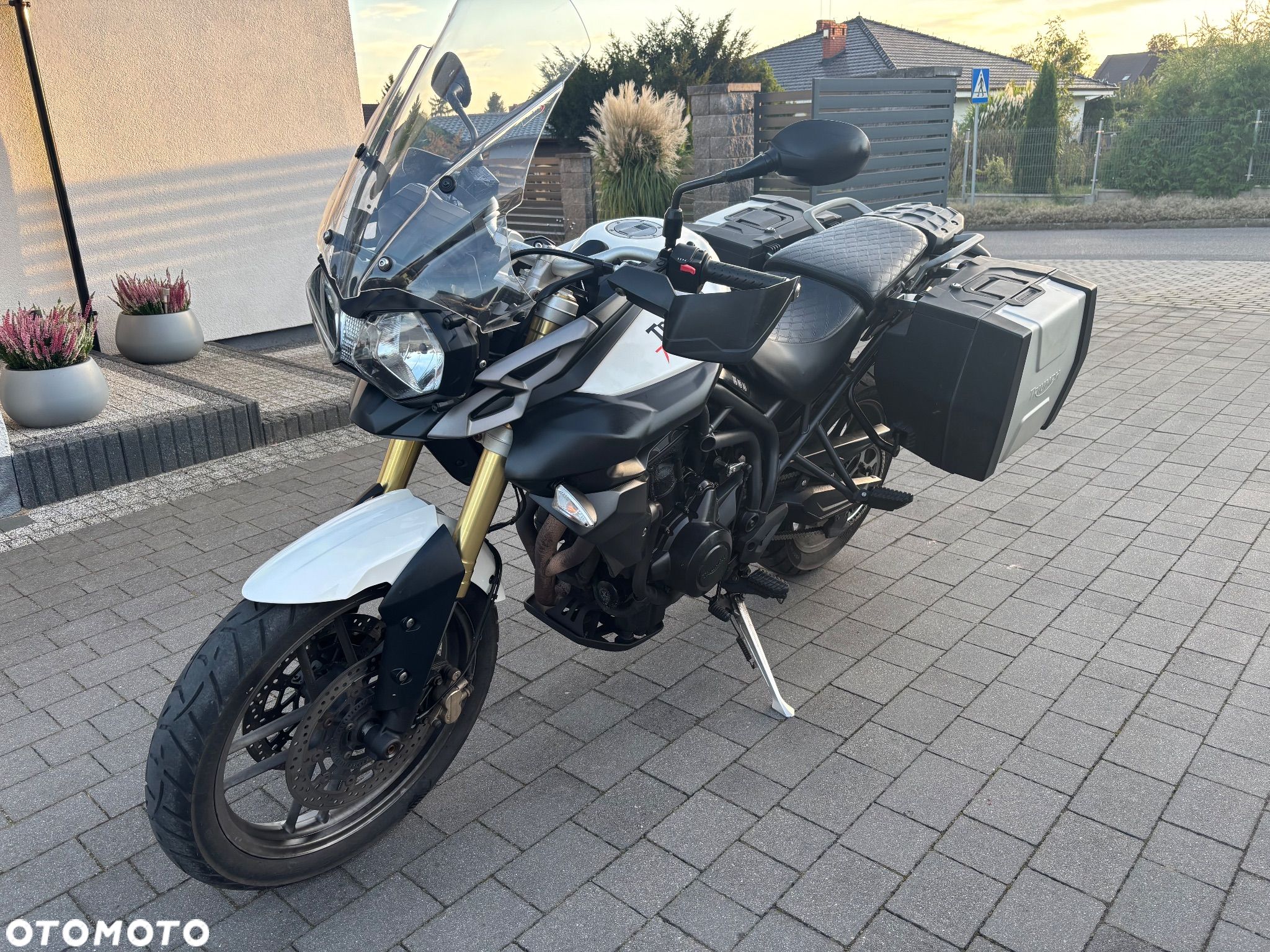 Triumph Tiger - 1